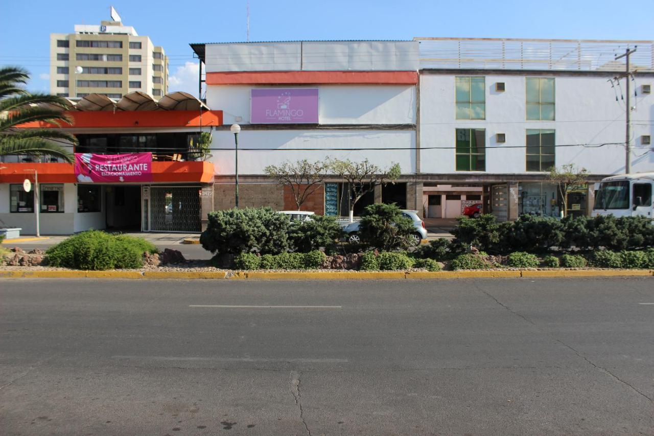 Hotel Flamingo Irapuato Exterior foto